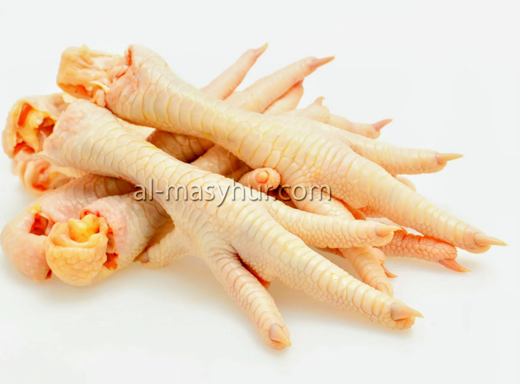 Kaki Ayam